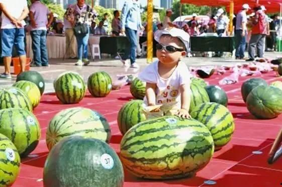 每日大赛吃瓜网入口