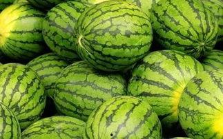 每日大赛吃瓜网入口