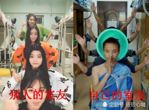 娱乐吃瓜酱室友,揭秘娱乐圈背后的故事与趣闻